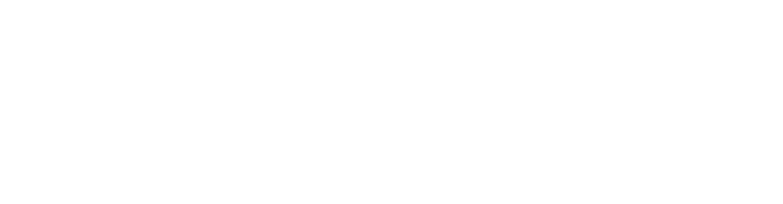 FINANCIADO POR LA UNIÓN EUROPEA